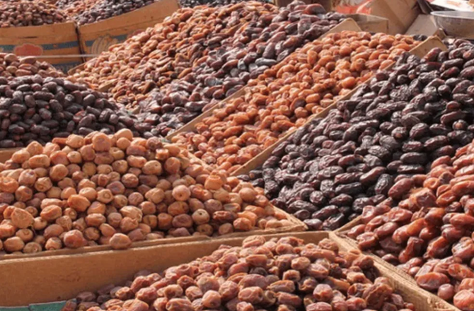 حج سیزن: مدینہ کی کھجور منڈی میں ۲۰؍ دن میں ایک کروڑ ۲۰؍ لاکھ ریال کی فروخت